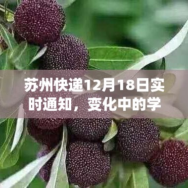 设身处地 第2页