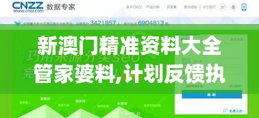 新澳门精准资料大全管家婆料,计划反馈执行_工具版4.992