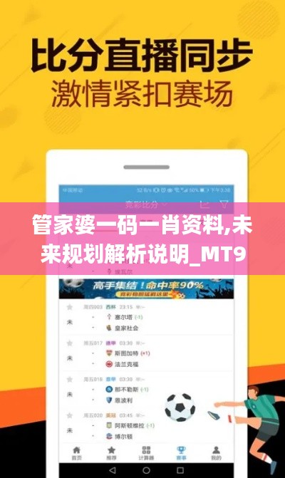管家婆一码一肖资料,未来规划解析说明_MT9.725