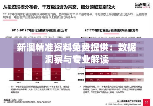 新澳精准资料免费提供：数据洞察与专业解读