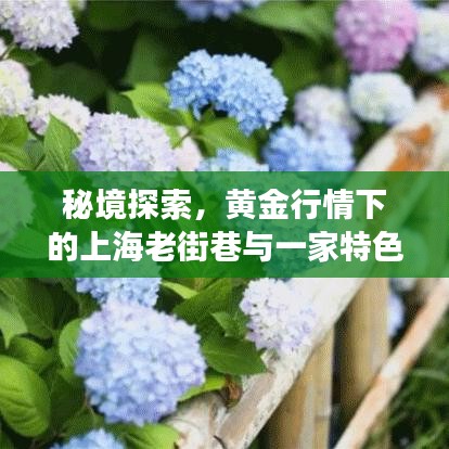 见贤思齐 第2页
