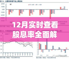 12月股息率全面解析，特性、体验、竞品对比及用户群体深度探讨