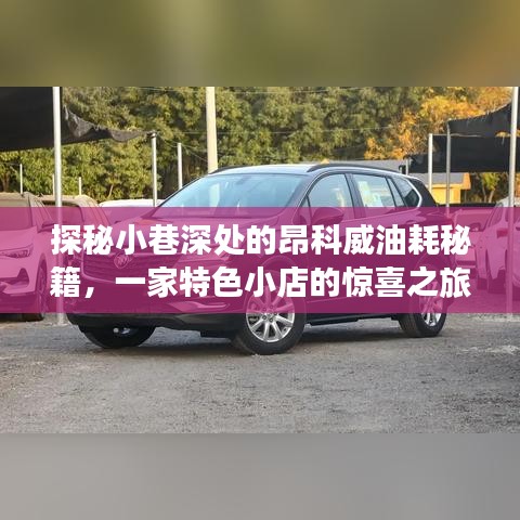 探秘小巷深处的昂科威油耗秘籍，特色小店惊喜之旅揭秘