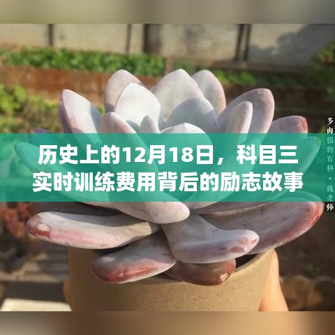 忠心耿耿 第2页