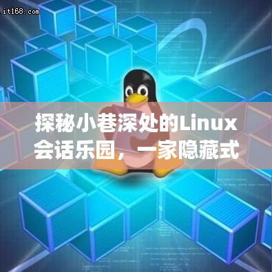 探秘小巷深处的Linux会话乐园，隐藏特色小店的实时刷新之旅体验分享