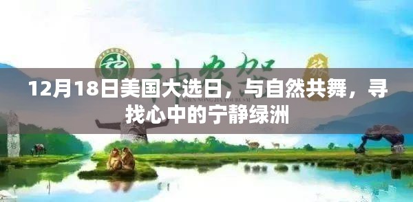 鸟入樊笼 第2页