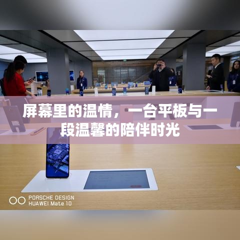 张袂成阴 第2页