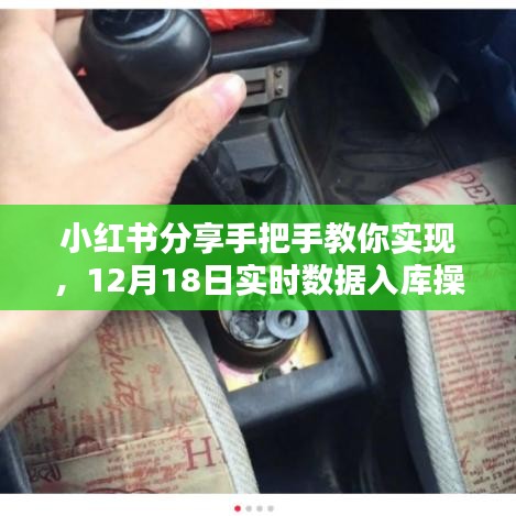 手把手教你实现数据入库操作指南，小红书分享，实时数据入库指南（12月18日版）