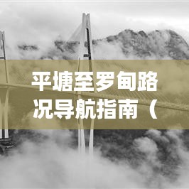 平塘至罗甸路况导航指南，适合初学者与进阶用户参考