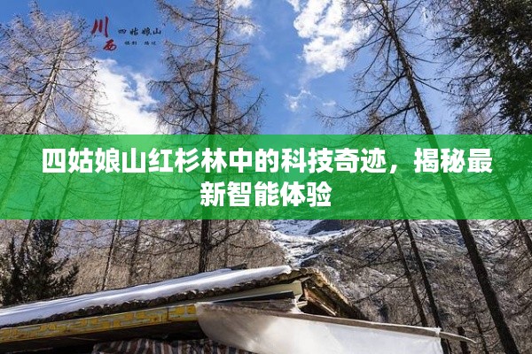 四姑娘山红杉林中的科技奇迹，最新智能体验揭秘