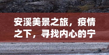 鸟啼花怨 第2页