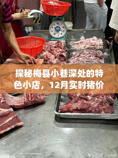 津津有味 第2页