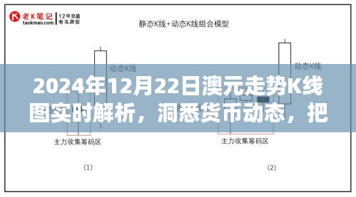 越鸟南栖 第2页