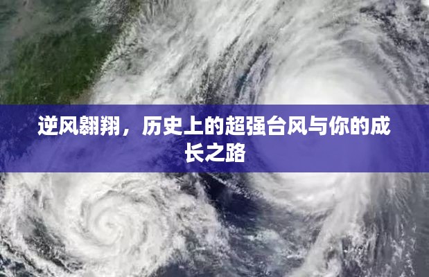 百年不遇 第2页