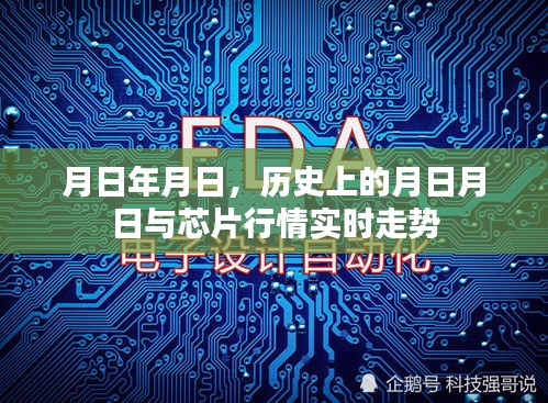 十年磨剑 第2页