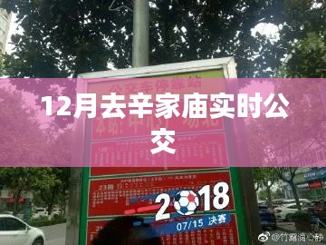 饭来张口 第2页