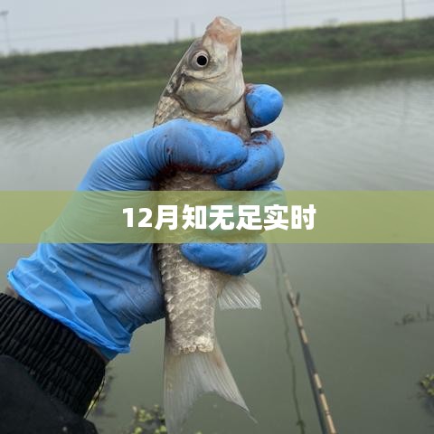 不飞则已 第2页