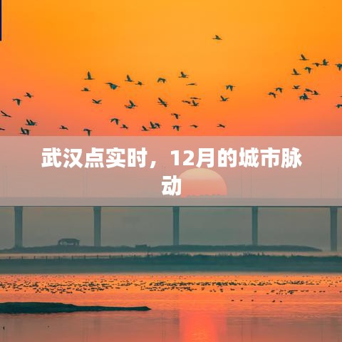 武汉点实时，12月城市脉动观察