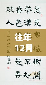 年终书法盛典，历年十二月二十七日书法现场风采展示
