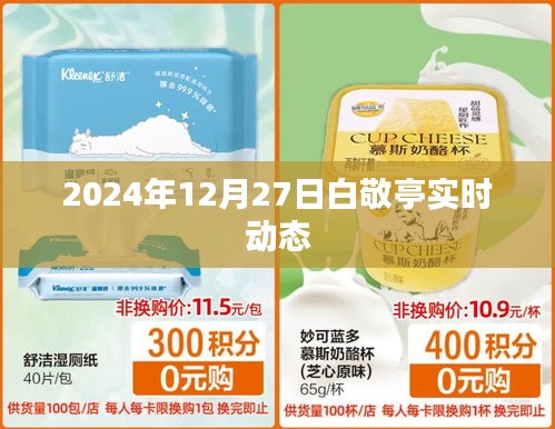 白敬亭最新动态曝光，2024年12月27日实时更新