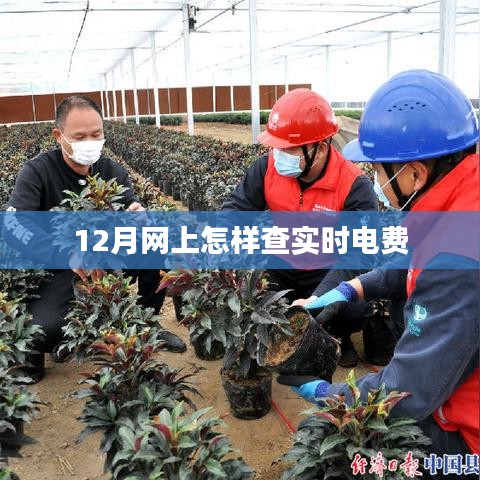 12月实时电费网上查询攻略