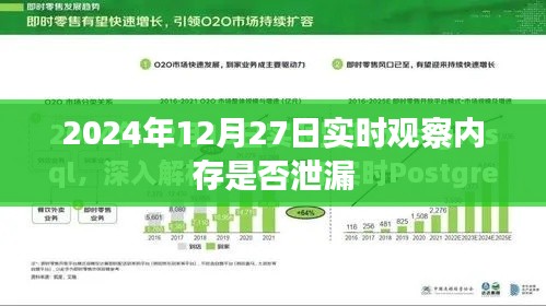 实时观察内存状况，内存泄漏检测与预防指南