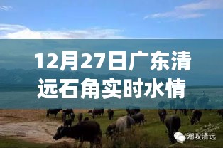 广东清远石角水情实时更新报告