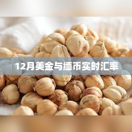 美金与缅币实时汇率查询