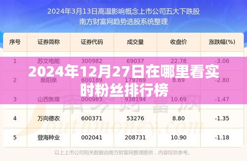 2024年粉丝排行榜实时查看指南