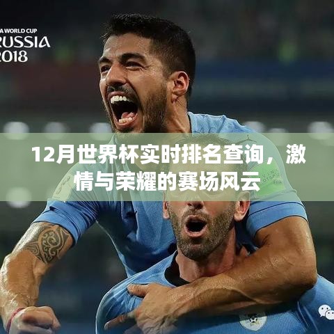 世界杯赛场风云，实时排名查询，荣耀与激情的碰撞