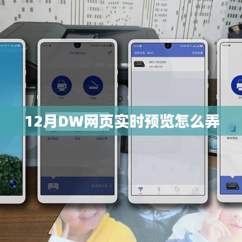 DW网页实时预览设置指南，12月操作教程