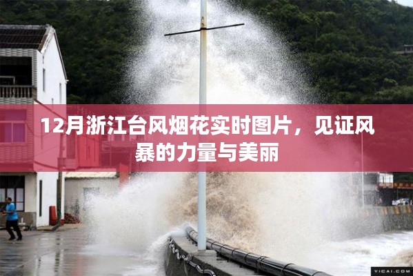 浙江台风烟花实时图片，风暴的力量与美见证
