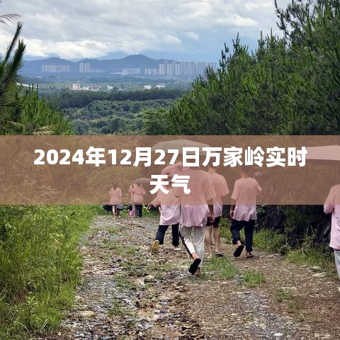 2024年12月27日万家岭天气实况