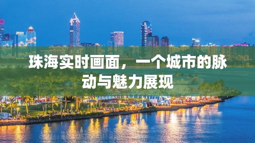 珠海实时画面，城市脉动与魅力展现