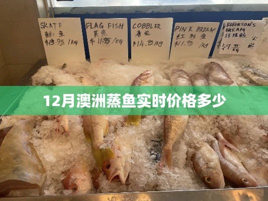澳洲蒸鱼最新实时价格（附解析）