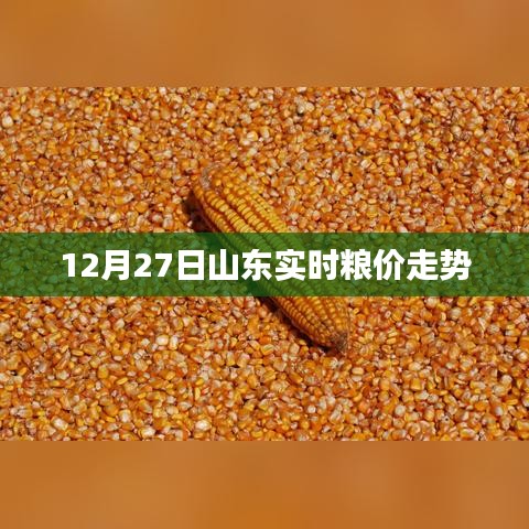 碧瓦飞甍 第2页