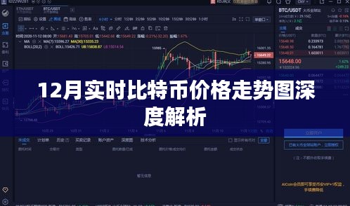 比特币价格走势图深度解析（实时更新至12月）