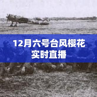 台风樱花来袭，最新实时直播动态报道