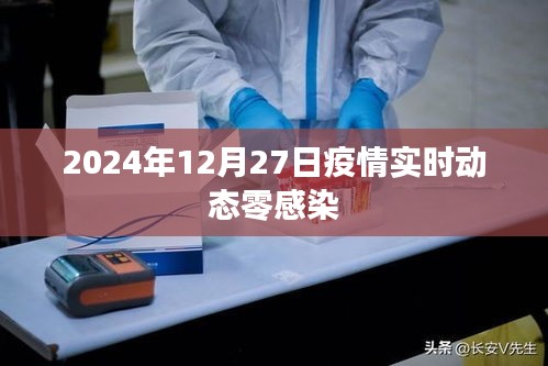 2024年疫情实时动态，零感染持续保持