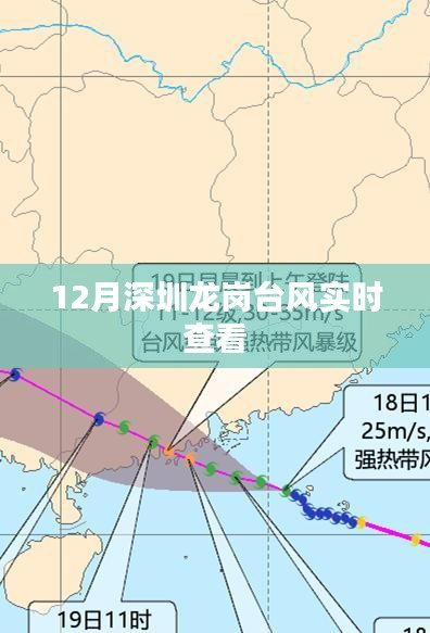 深圳龙岗台风最新实时动态