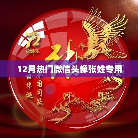 张姓微信头像精选，十二月热门之选