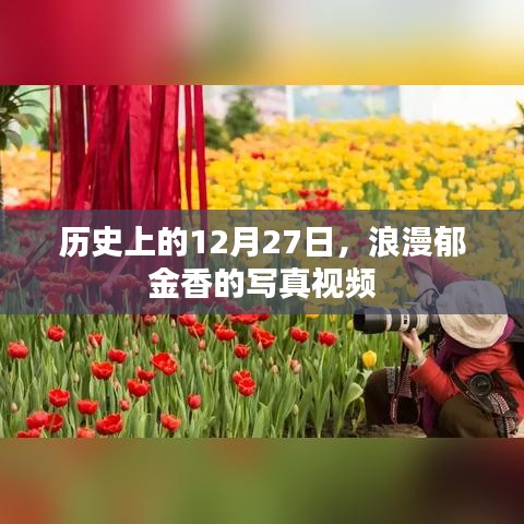 飞来横祸 第2页