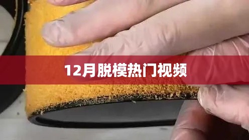 十二月爆款视频，潮流脱模大赏