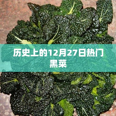 历史上的热门黑菜，探寻12月27日的独特风味