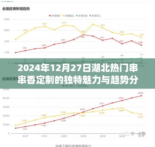 湖北串串香定制魅力与趋势分析（2024年）