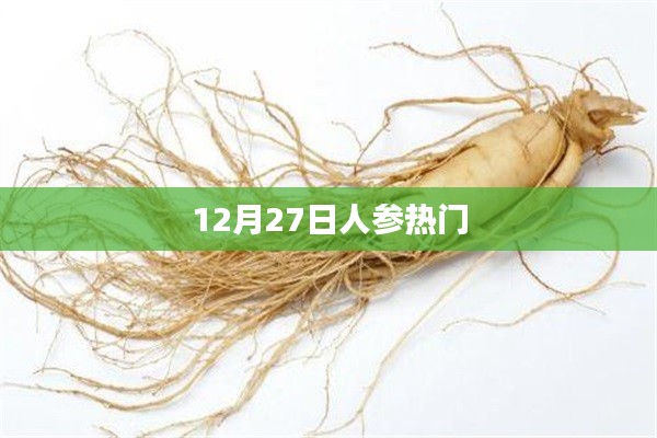 12月27日人参热门话题概览