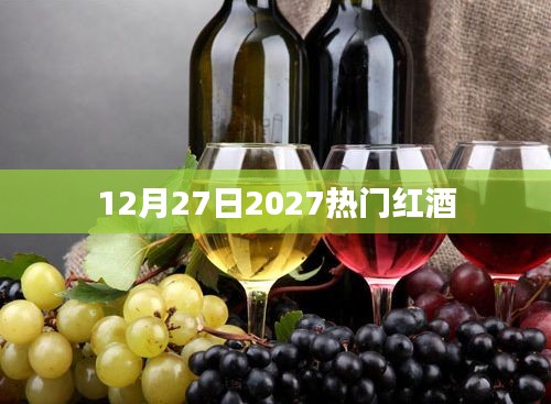 2027年热门红酒推荐，品鉴指南（12月27日）