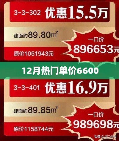 12月热门商品单价6600元，超值选购指南
