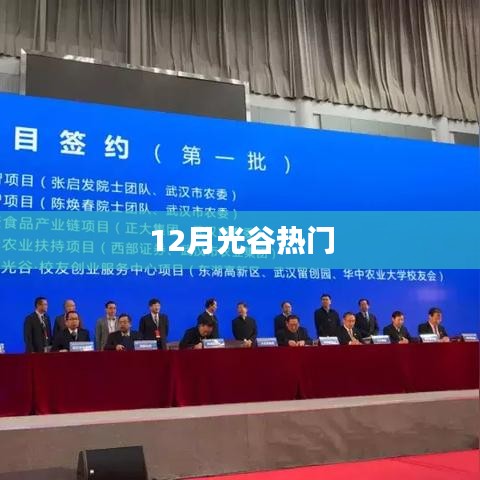 12月光谷，热门活动一览