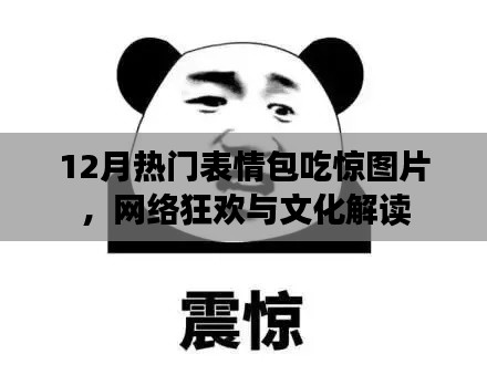 表情包吃惊图片风靡网络，文化解读与狂欢